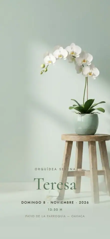 Orquídea Serena