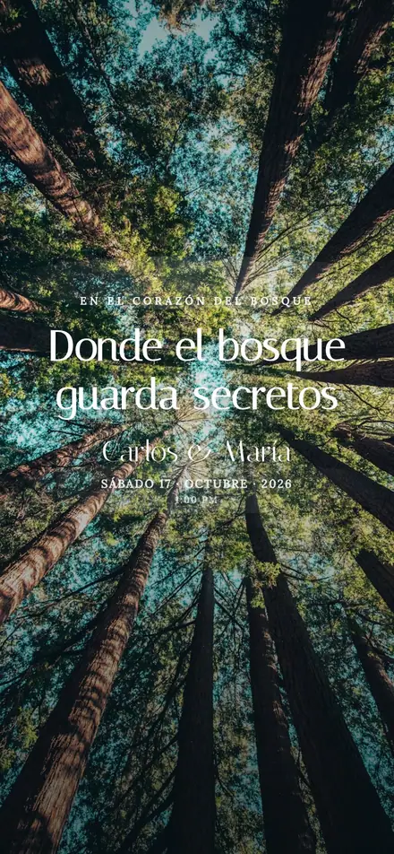Niebla del Bosque