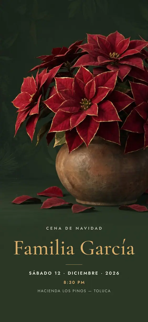 Flor de Nochebuena